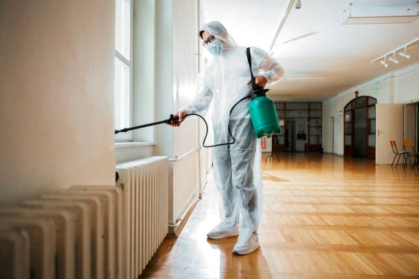 Best Affordable Pest Control Services  in Fort Myers Shores, FL